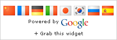 google translate mini flags single Google Translate Mini-Flags Widget