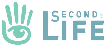 secondlife logo 3D Virtual Worlds: The future of E-Learning?